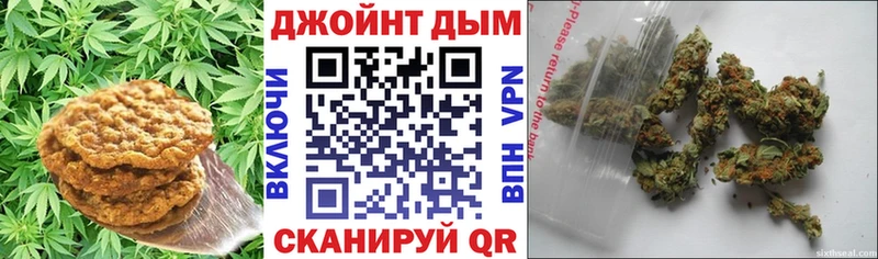 кракен tor  Суровикино  Cannafood конопля  darknet клад  как найти закладки 