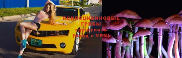 соль курить ск Аркадак