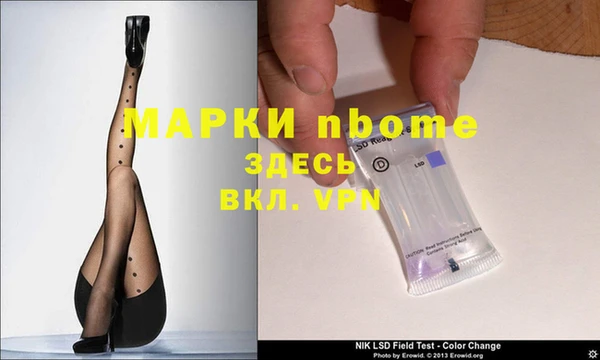 сатива Армянск