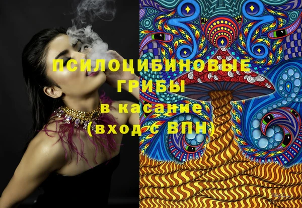 сатива Армянск